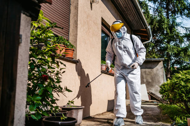 Best Emergency Pest Control  in Calhoun, GA