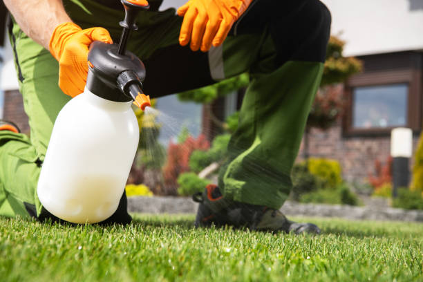 Best Best Pest Control Companies  in Calhoun, GA