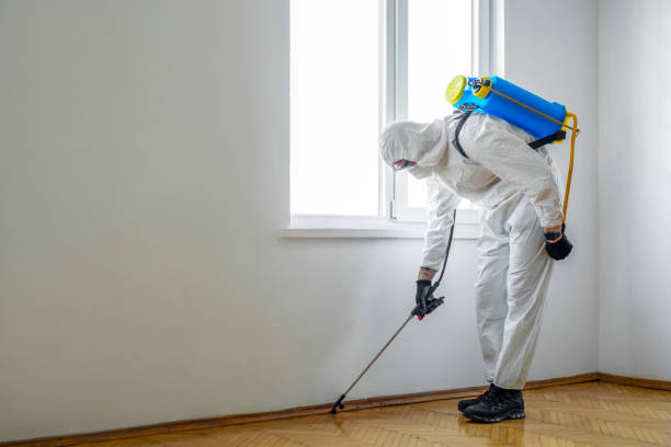 Best Affordable Pest Control Services  in Calhoun, GA
