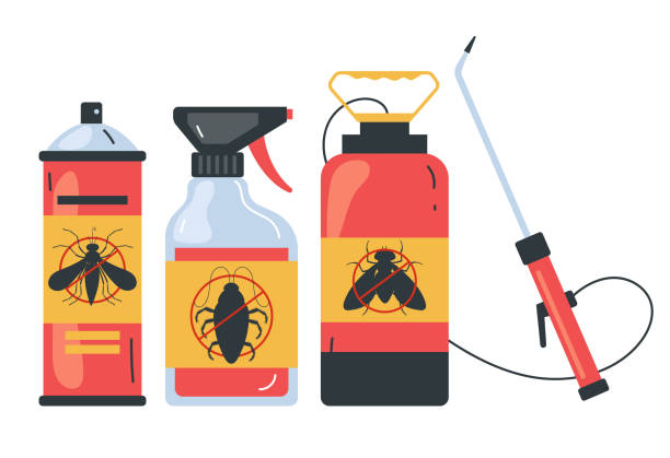 Best Ant Control Services  in Calhoun, GA