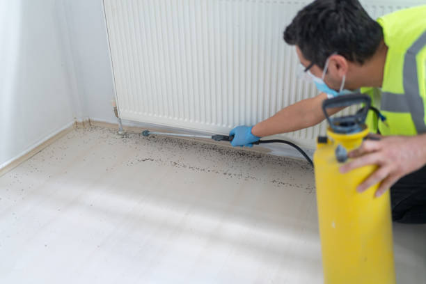 Best Pest Control Treatment  in Calhoun, GA